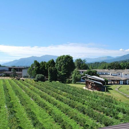 Agriturismo Il Frutto Permesso Bibiana Eksteriør bilde