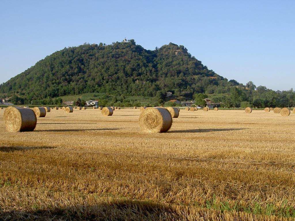 Agriturismo Il Frutto Permesso Bibiana Eksteriør bilde