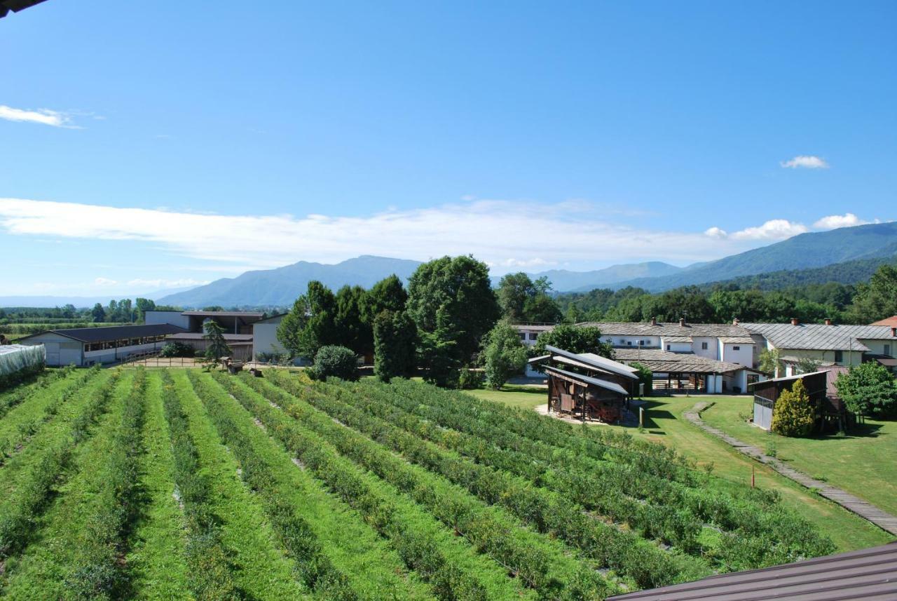 Agriturismo Il Frutto Permesso Bibiana Eksteriør bilde