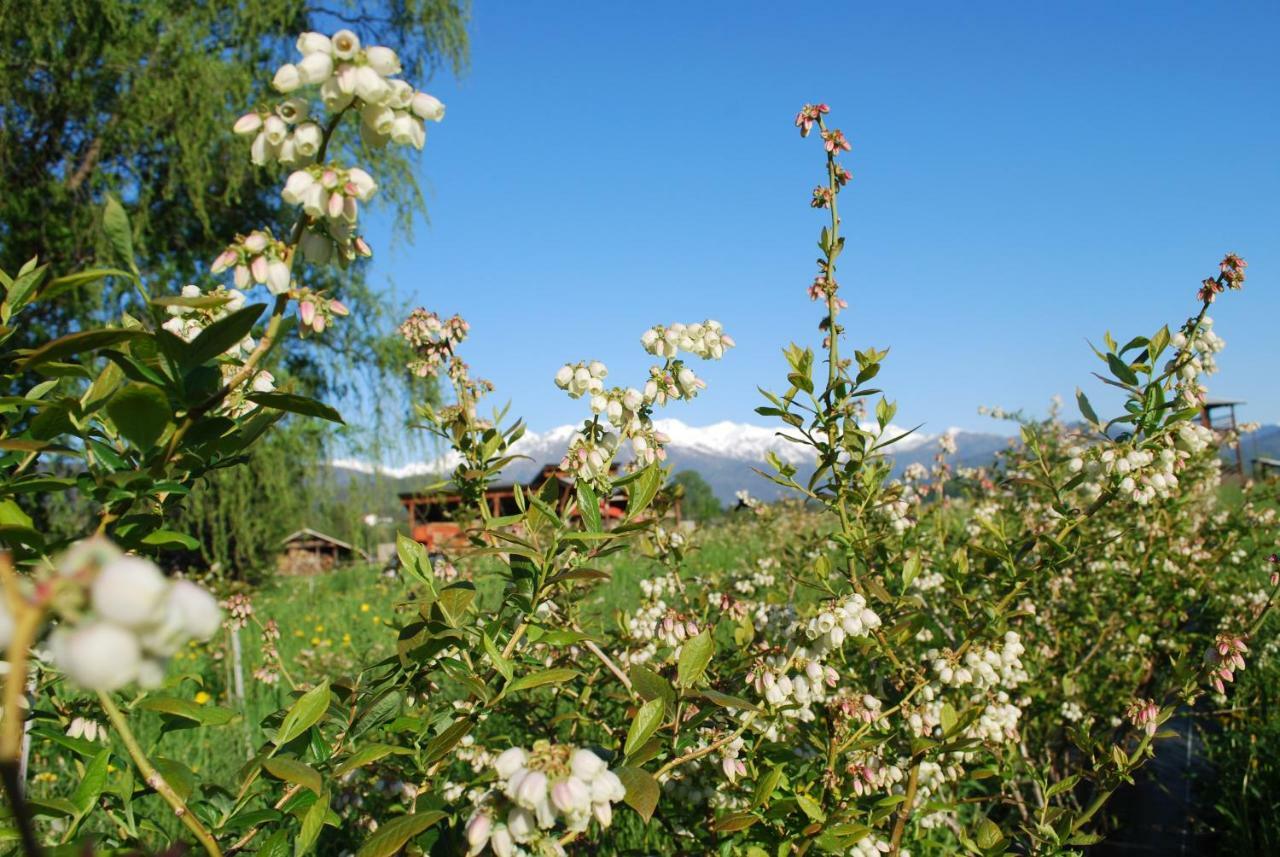 Agriturismo Il Frutto Permesso Bibiana Eksteriør bilde